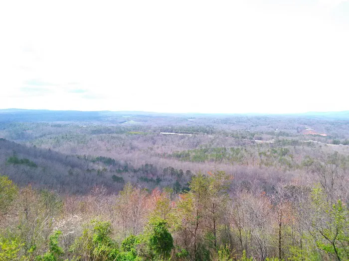 Plum Nelly Campground Picture 10