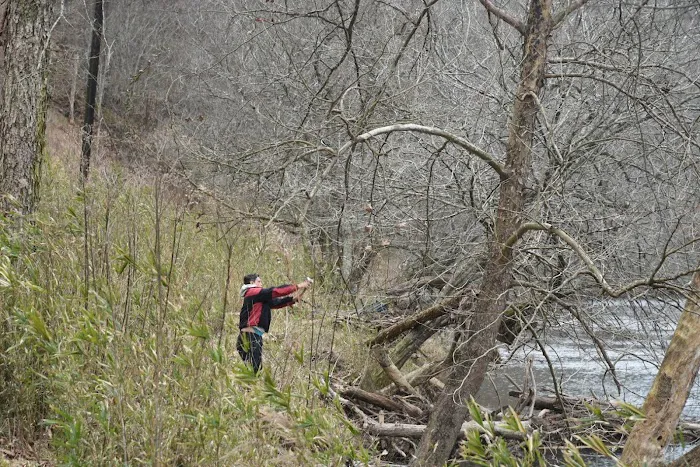 North Park Picture 5