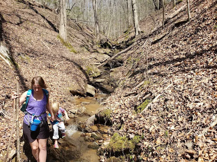 North Park Picture 6