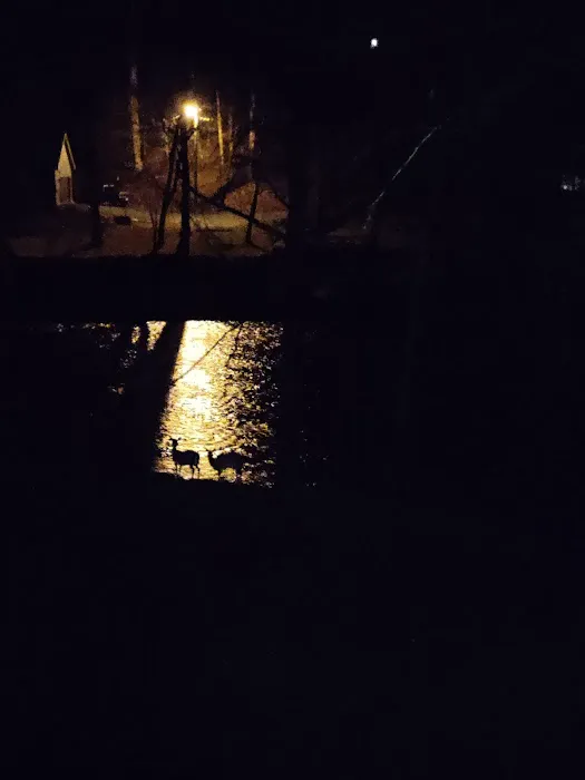 Mountainlair on the River Picture 2