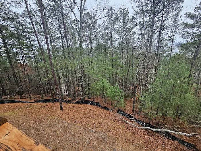 Mama Bear Cottage Picture 2