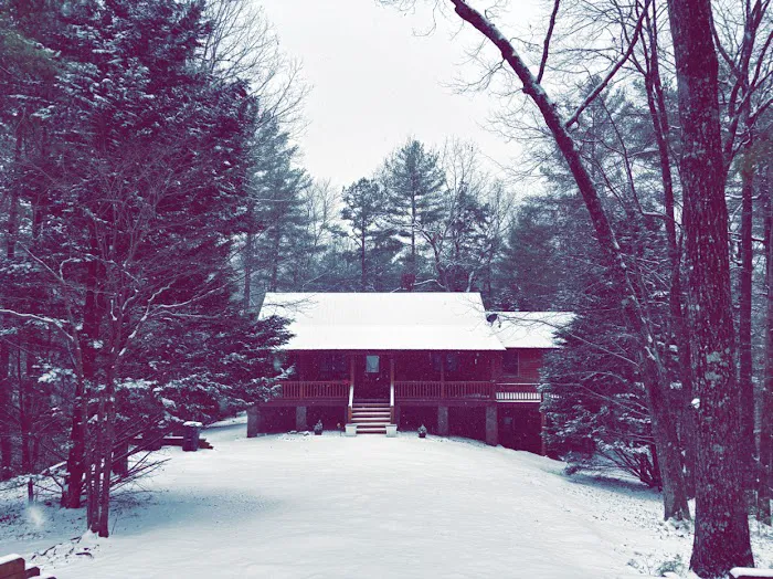 Mina’s Hideaway Picture 3