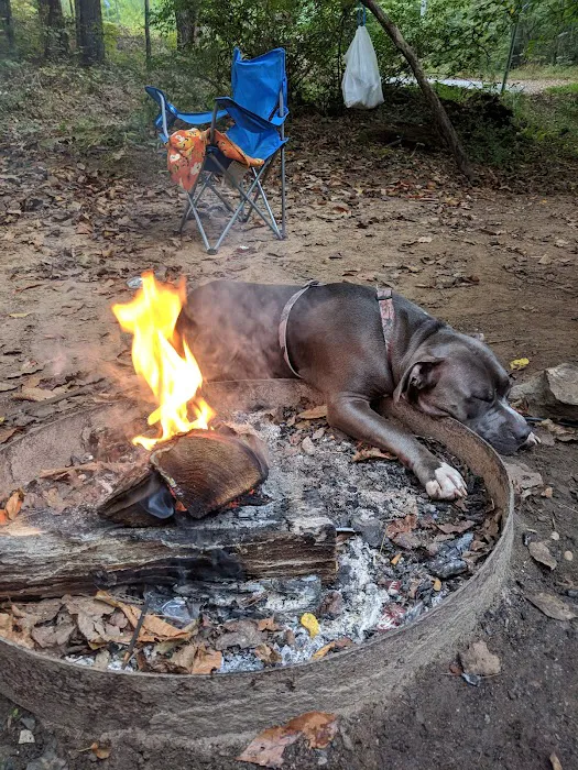 Whispering Pines Picture 7