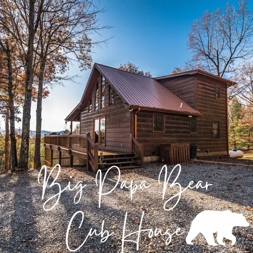 Big Papa Bear Cub House Picture 1