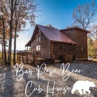 Big Papa Bear Cub House ico