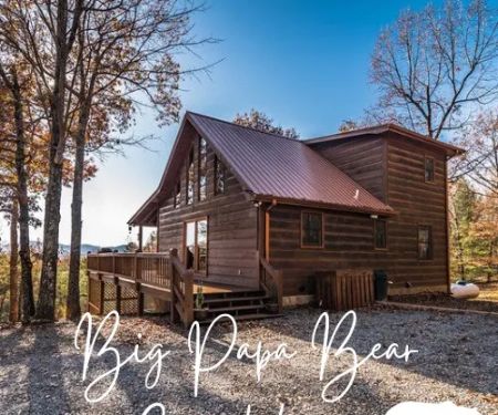 Big Papa Bear Cub House