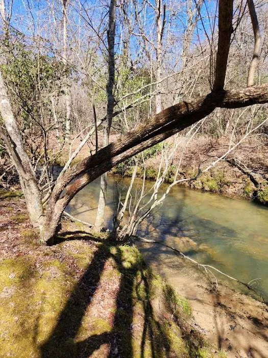 Blue Ridge Retreat on Wolf Creek Picture 3