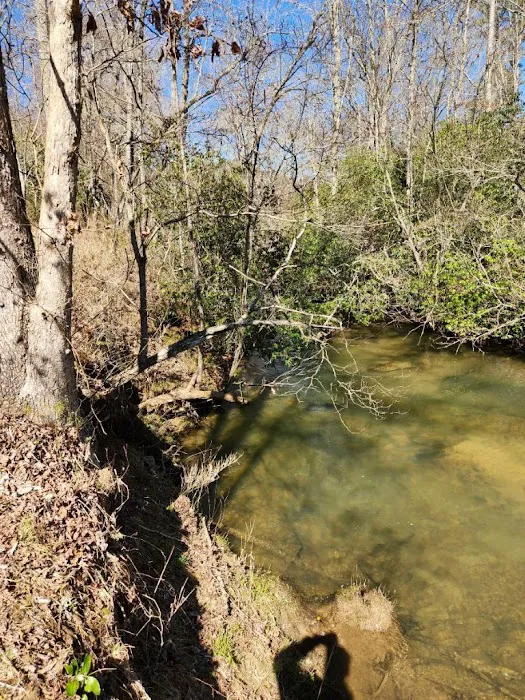 Blue Ridge Retreat on Wolf Creek Picture 5