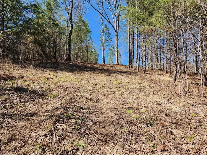 Blue Ridge Retreat on Wolf Creek Picture 2