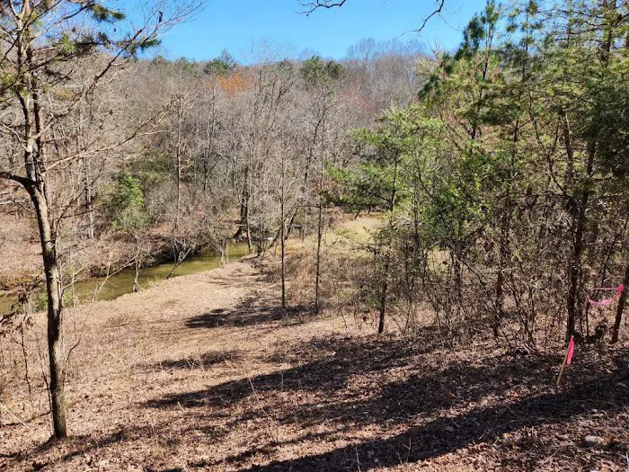 Blue Ridge Retreat on Wolf Creek Picture 7