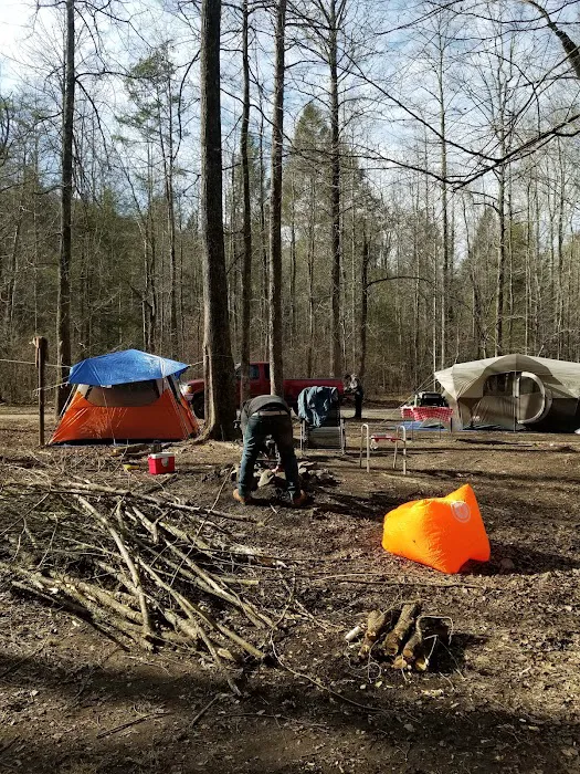 Tumbling Creek Campground Picture 3