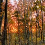 Smith Mountain Camping