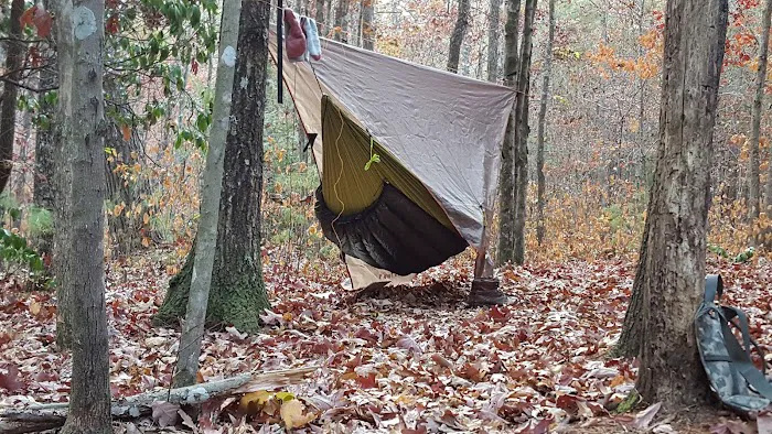 Little Possum North Campsite Picture 2