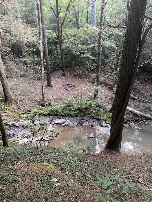 Little Possum North Campsite Picture 4