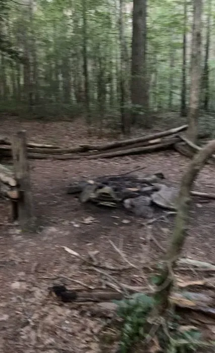 Little Possum North Campsite Picture 1
