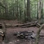 Little Possum North Campsite