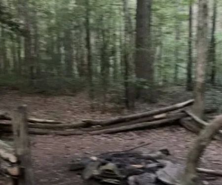 Little Possum North Campsite