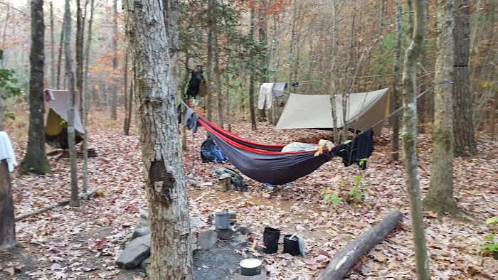 Little Possum North Campsite Picture 6