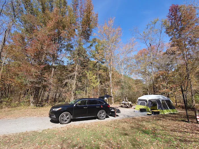 Thunder Rock Campground Picture 3