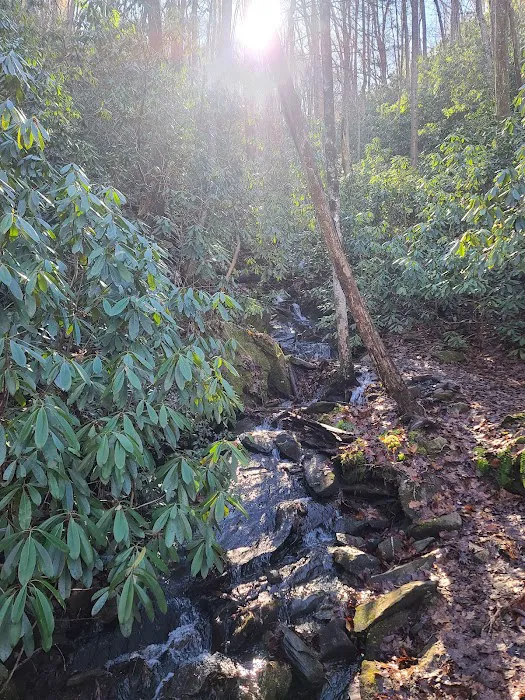 Thunder Rock Campground Picture 4