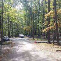 Group Camp ico