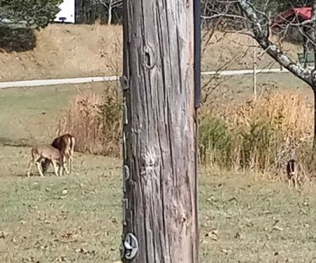 Harrison Bay State Park Campground Loop C
