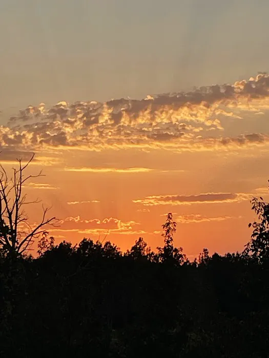 Black Bear Plantation, LLC (Campsites) Picture 4