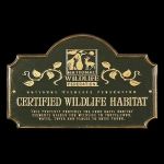 Black Bear Plantation, LLC (Campsites)