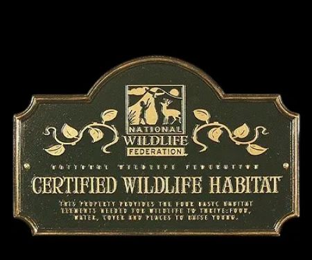 Black Bear Plantation, LLC (Campsites)