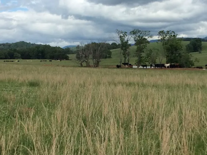 R and R RV Campground Picture 4