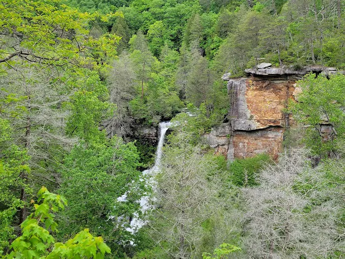 Fall Creek Falls Family Campground B Picture 4
