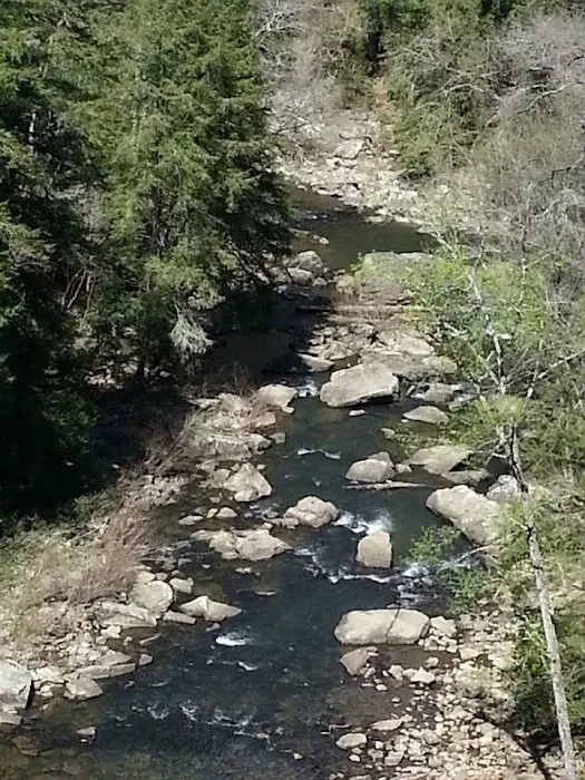 Fall Creek Falls Family Campground B Picture 7