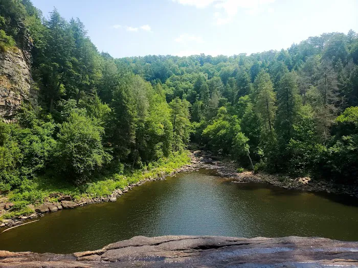 Fall Creek Falls Family Campground C Picture 9