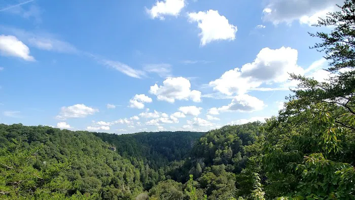 Fall Creek Falls Family Campground C Picture 5