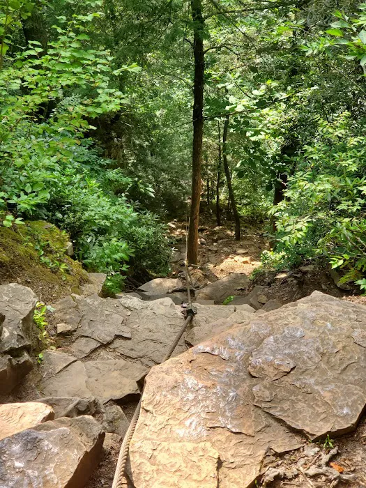 Fall Creek Falls Family Campground C Picture 10