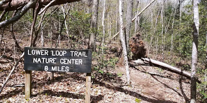 Fall Creek Falls - Family Campground A & E Picture 5