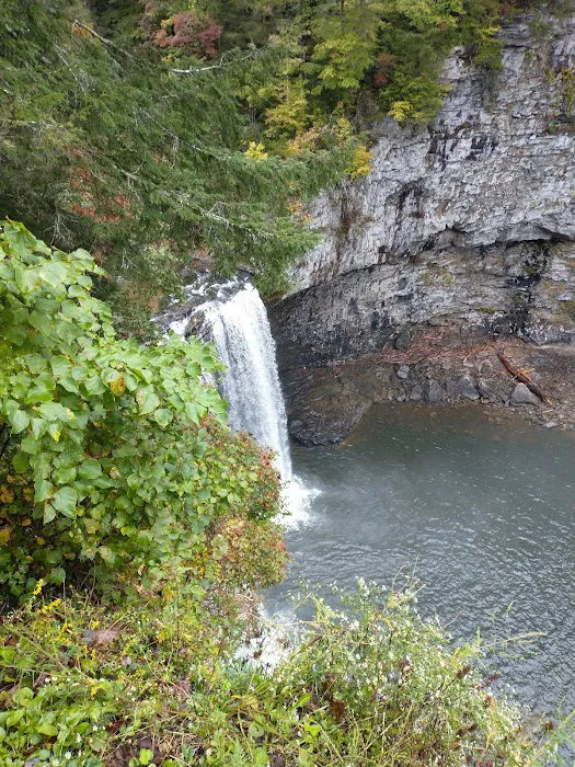 Fall Creek Falls - Family Campground A & E Picture 6