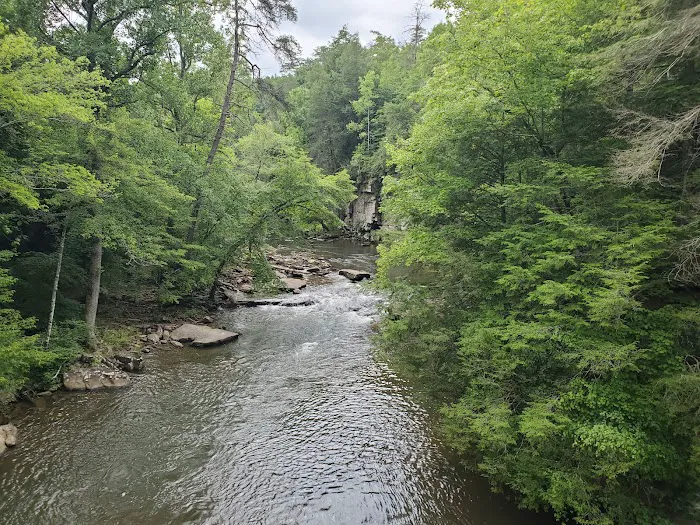 Fall Creek Falls - Family Campground A & E Picture 10
