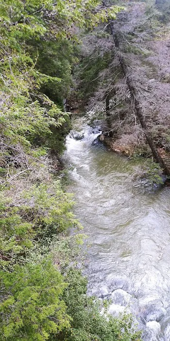 Fall Creek Falls - Family Campground A & E Picture 4