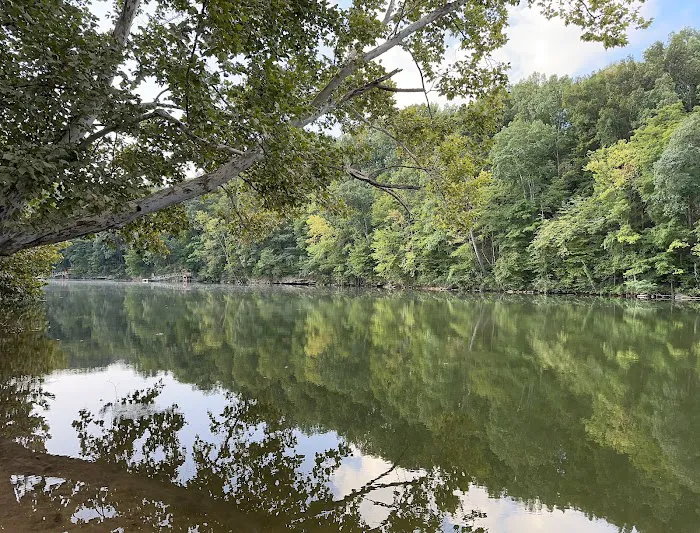 Campsite on the Caney Picture 2