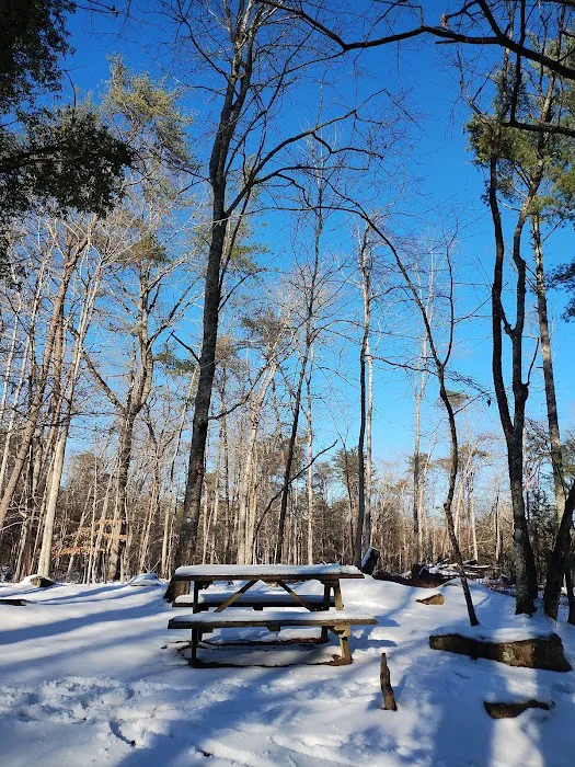Fall Creek Falls State Park Cabins Picture 10