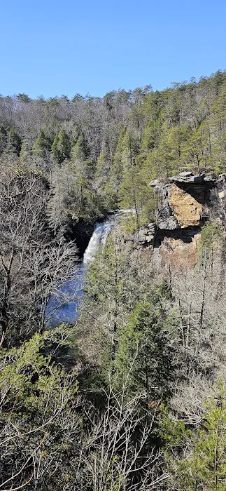 Fall Creek Falls State Park Cabins Picture 7