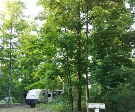 Betsie River Canoes & Campground