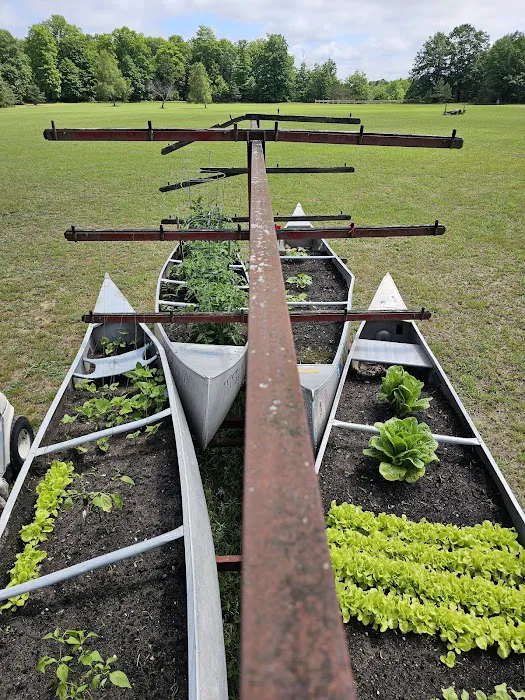 Betsie River Canoes & Campground Picture 4