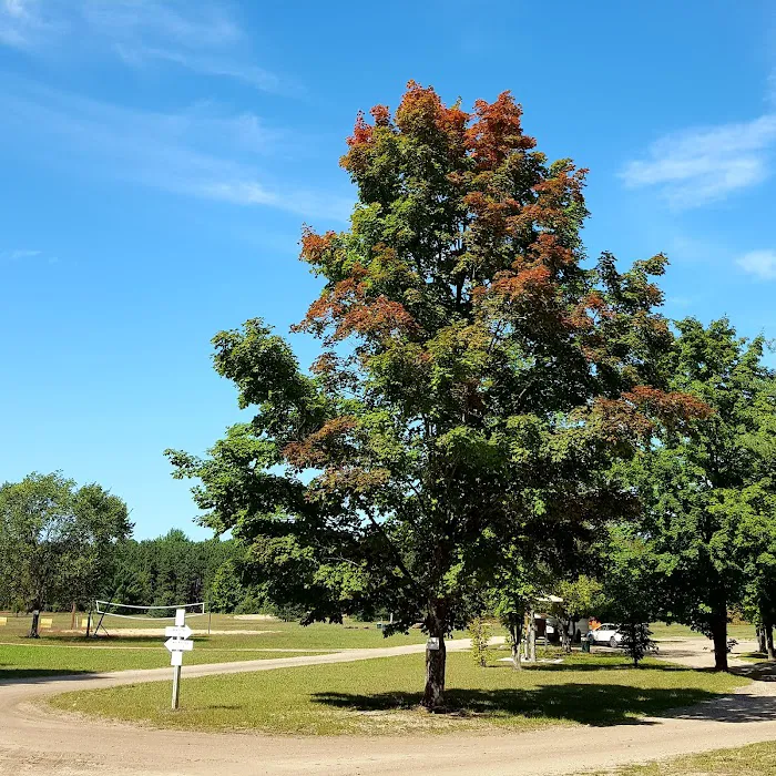 Betsie River Canoes & Campground Picture 5