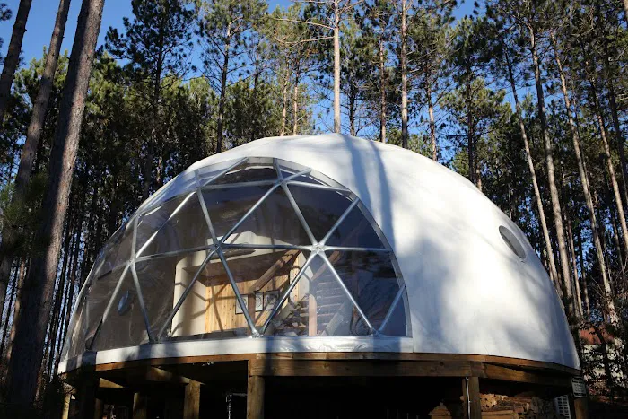 Glamp Michigan Picture 1