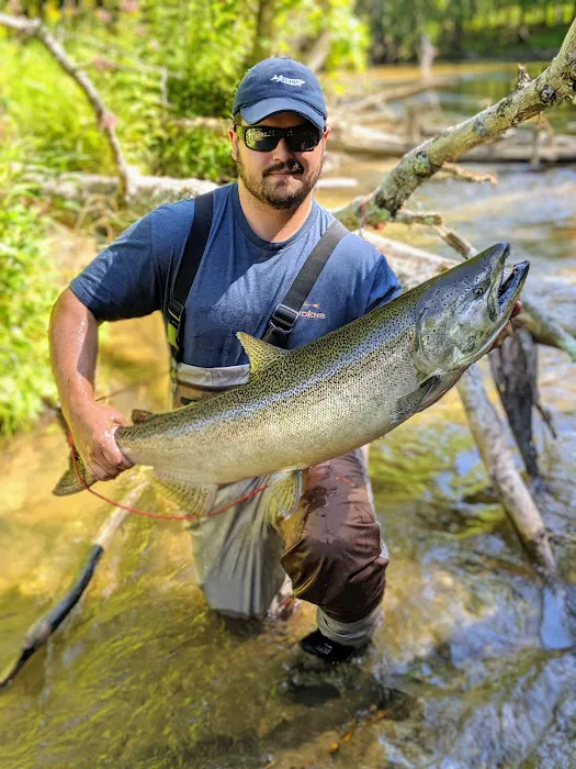 Benzonia Rustic Resort Picture 3