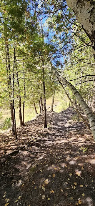 Benzonia Rustic Resort Picture 5