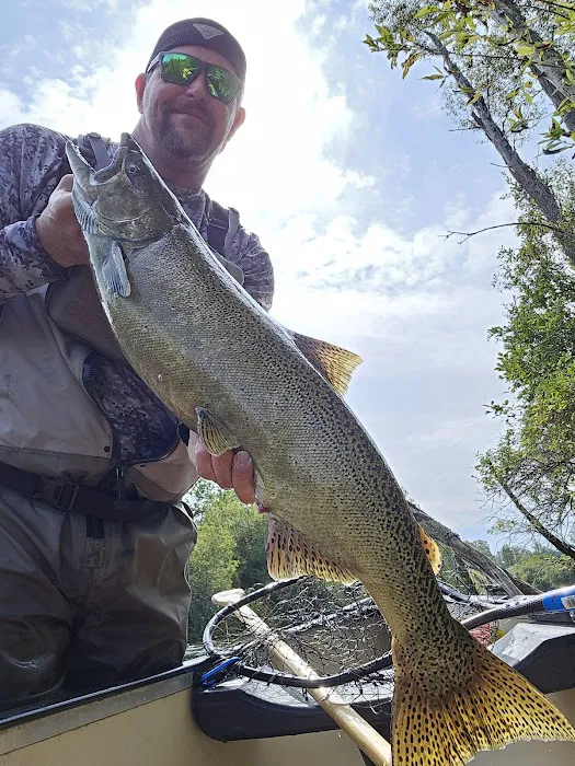 Benzonia Rustic Resort Picture 2