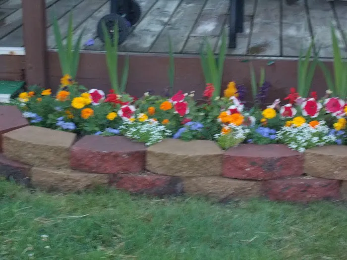 Benzonia Rustic Resort Picture 8